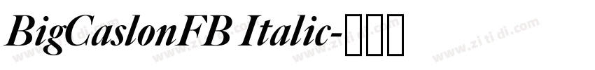 BigCaslonFB Italic字体转换 BigCaslonFB Italic字体转换
